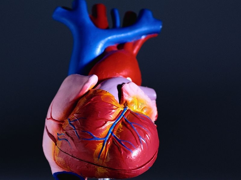 Clínica de Cardiologia para Tratar Insuficiência Cardíaca