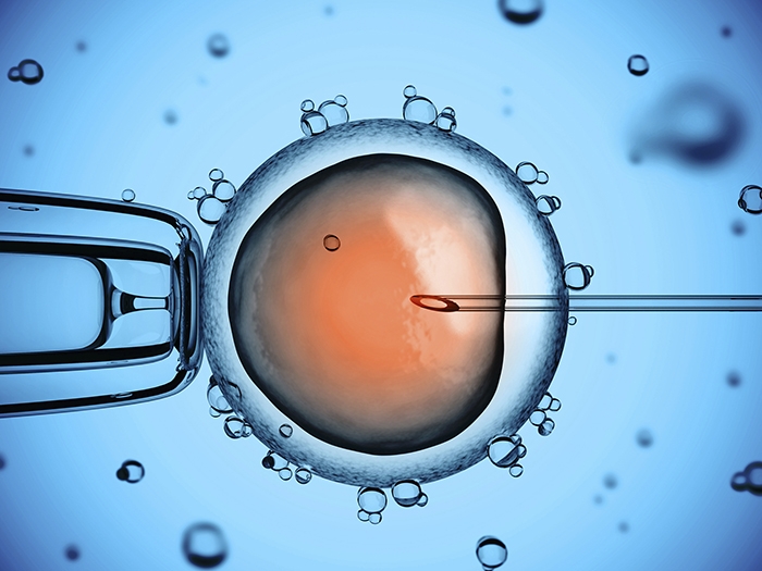 Congelamento de Embriões